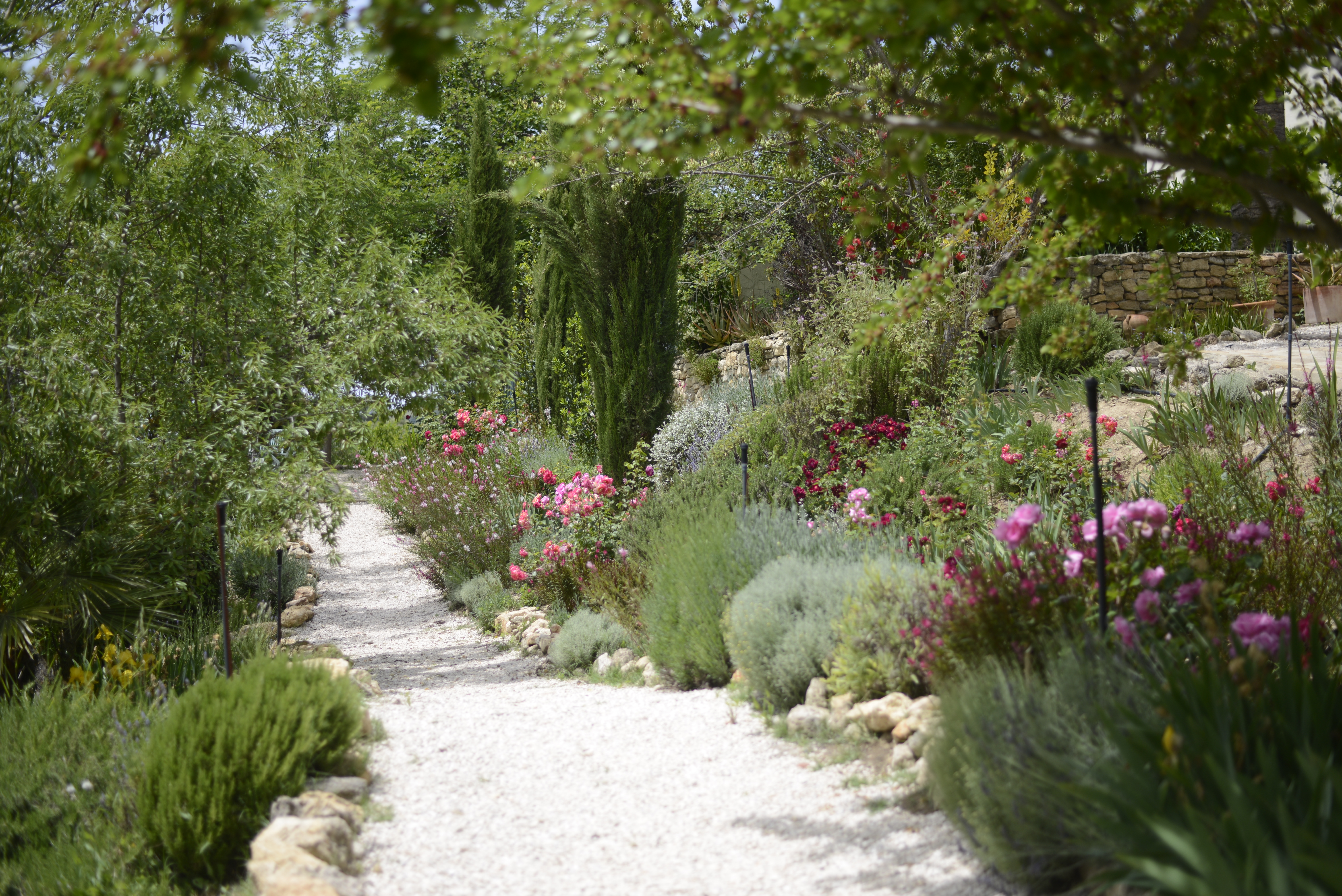 LA ALCANTARILLA - Garden path