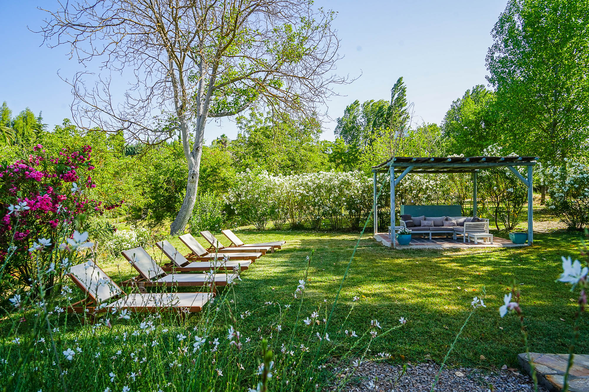 LA ALCANTARILLA - Swimming pool pergola